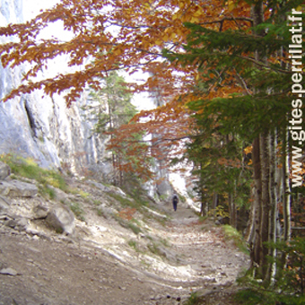 2009-10-15_rando.jpg
