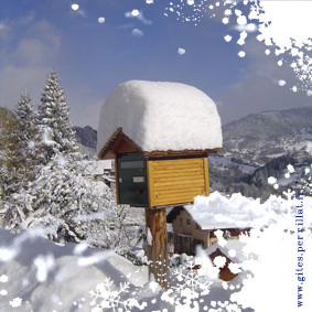 2010-11-26neige.jpg